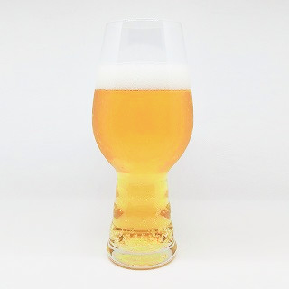 ベアレンビール［ザ・デイ］トラッド ゴールド ピルスナー