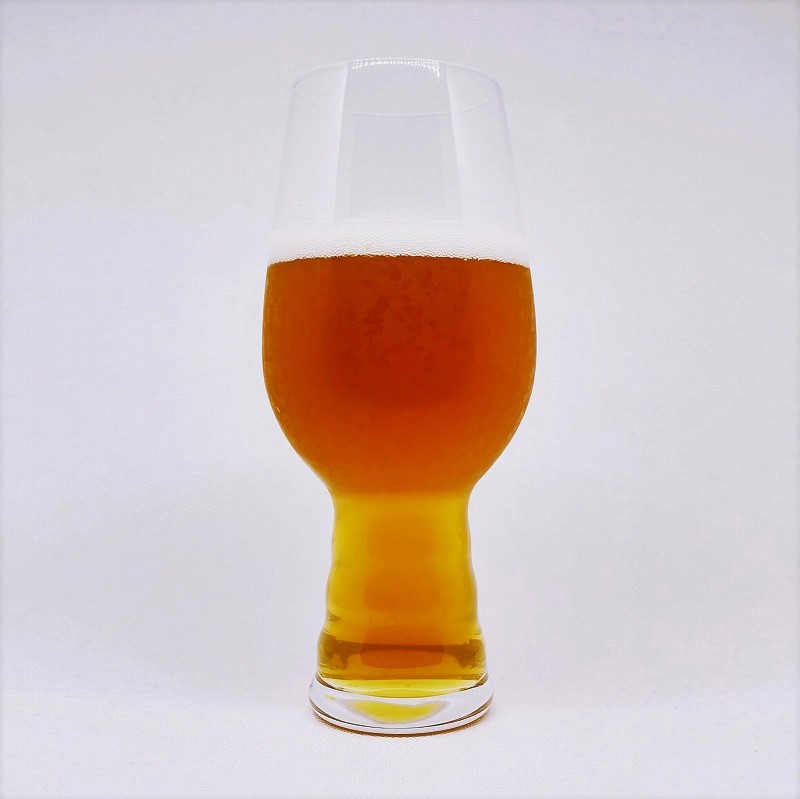 「SESSION IPA セッションIPA / DHCビール」画像6