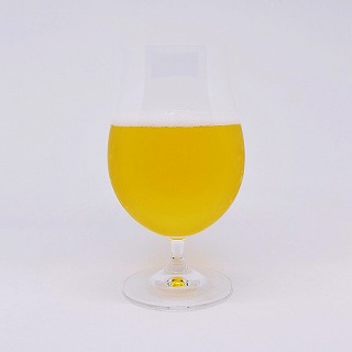 台湾啤酒 HONEY LAGER / ハニーラガー